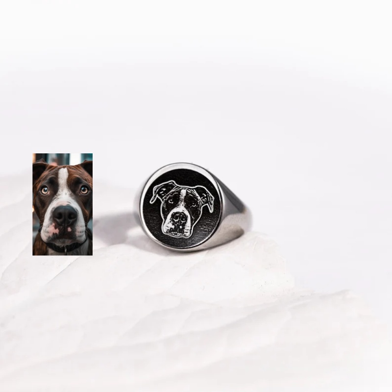 Aangepaste gegraveerde fotozeg - Mens Signet Ring recensie en prijs