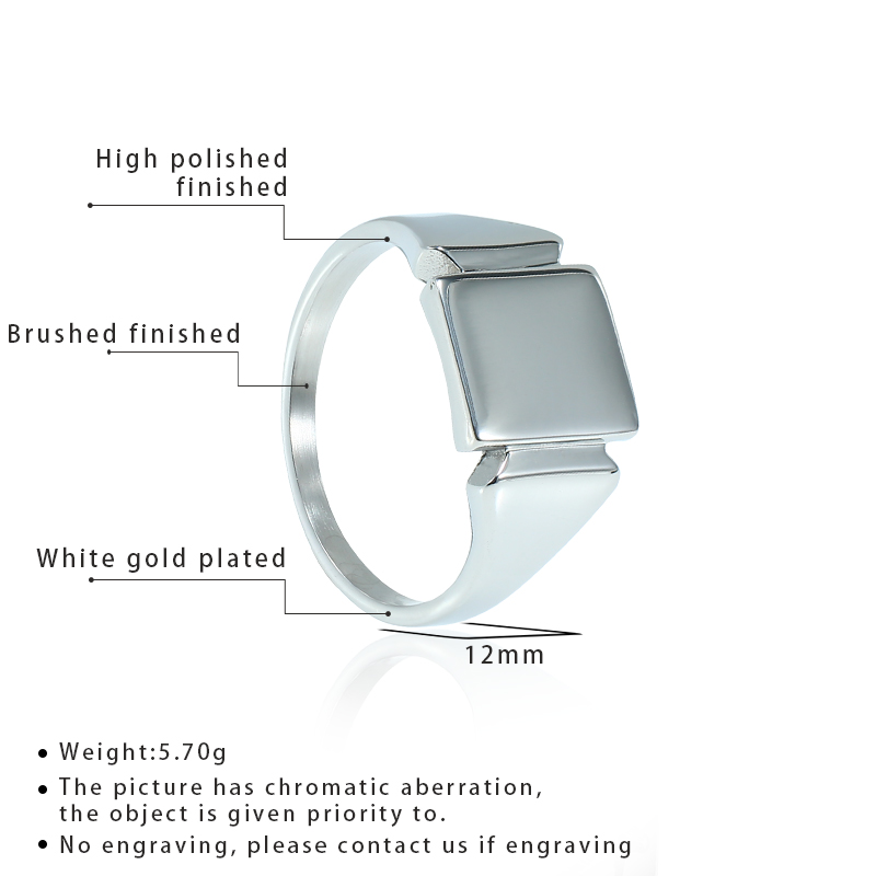 Soul Mannen Titanium Stalen Ri - Mens Signet Ring recensie en prijs